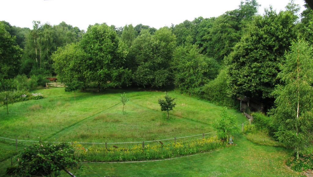 Vakantieverblijf Volmolen B&B Maaseik Bagian luar foto